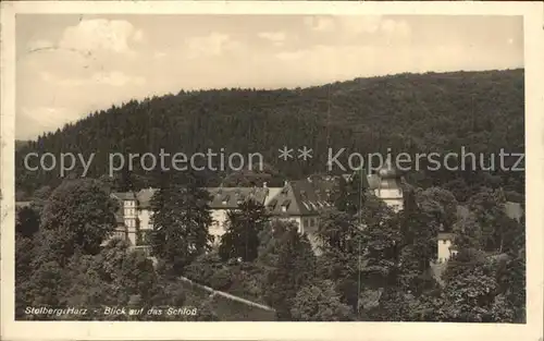 Stolberg Harz Blick auf das Schloss Kat. Stolberg Harz