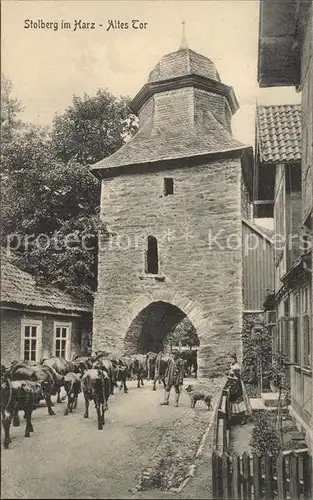 Stolberg Harz Altes Tor Kat. Stolberg Harz