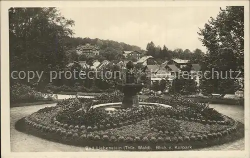 Bad Liebenstein Blick vom Kurpark Kat. Bad Liebenstein