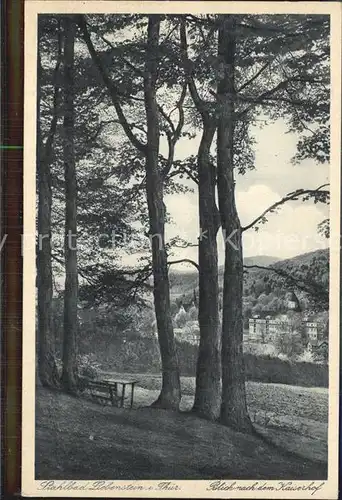 Bad Liebenstein Blick zum Kaiserhof Kat. Bad Liebenstein