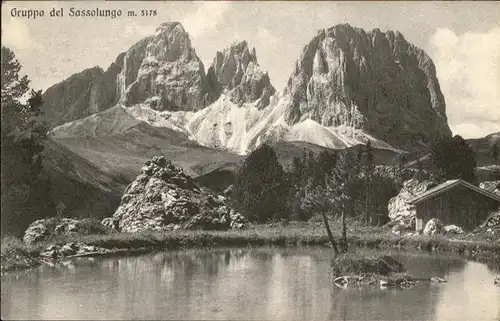 Langkofel Sassolungo  / Dolomiten /Groeden Suedtirol