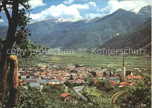 Vinschgau Suedtirol Weinhof Schlanders / Val Venosta /Bolzano