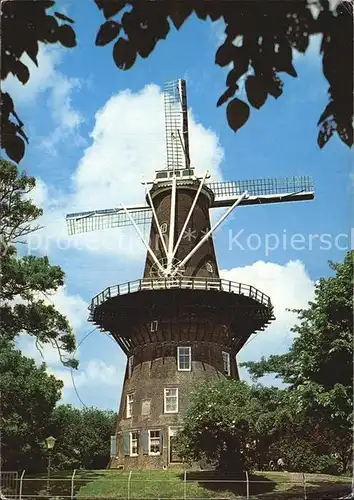 Leiden Korenmolen De Valk Kat. Leiden