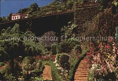 Madeira Garten in Monte Kat. Portugal