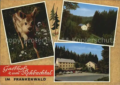 Grafengehaig Gasthaus Zum Rehbachtal Kat. Grafengehaig