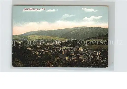 Blankenburg Bad Panorama Kat. Bad Blankenburg