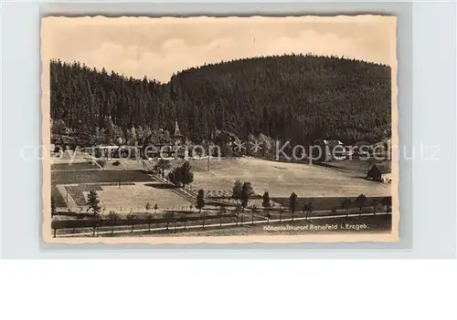 Rehefeld Zaunhaus Panorama Kat. Altenberg