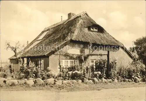 Vitte Blaue Scheune Reetdach Kat. Insel Hiddensee