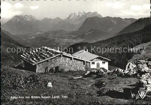 Landl Thiersee Acker Alm mit Wildem Kaiser Fernsicht Kaisergebirge Kat. Thiersee