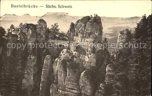 Rathen Saechsische Schweiz Basteibruecke Elbsandsteingebirge Kat. Rathen Sachsen