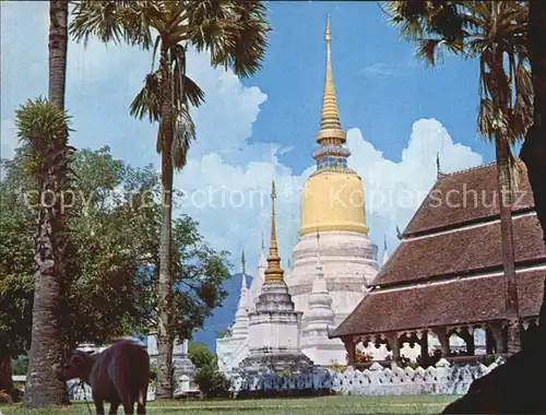 Chiengmai Temple Suandok