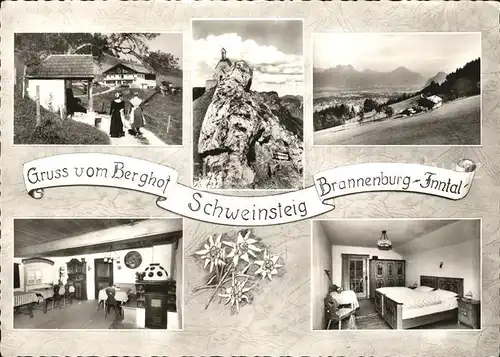 Brannenburg Berghof Schweinsteig Panorama Inntal Alpenblick Felsen Kat. Brannenburg