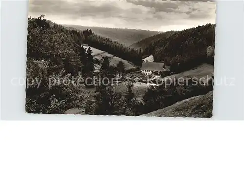 Besenfeld Hoehenluftkurort Wintersportplatz Gasthof zum Loewen Schwarzwald Kat. Seewald