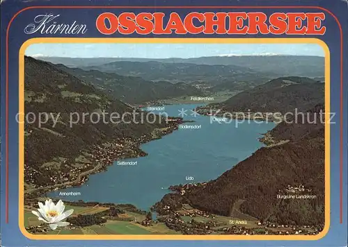 Ossiachersee Fliegeraufnahme Sattendorf Feldkirchen Kat. Ossiach