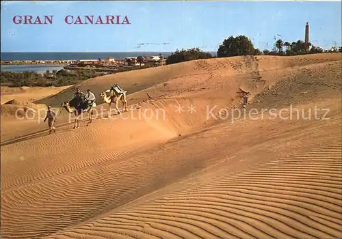 Maspalomas Kamelreiter auf der Duene Kat. Gran Canaria Spanien