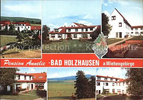 Bad Holzhausen Luebbecke Pension Annelie Kat. Preussisch Oldendorf
