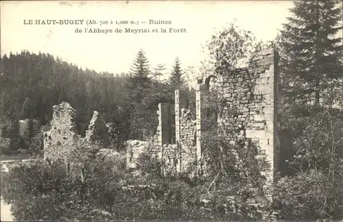 Meyriat Ruines de l'Abbaye de Meyriat *