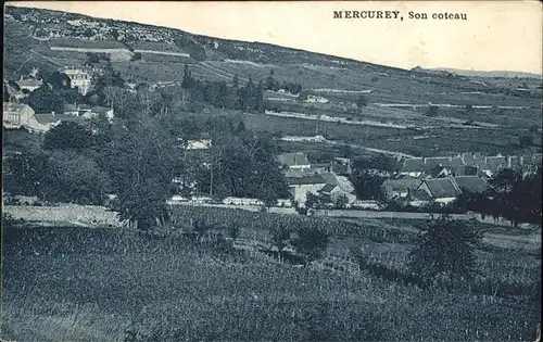 Mercurey Coteau Kat. Mercurey