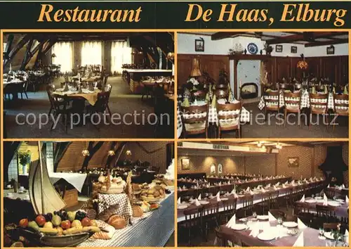 Elburg Restaurant de Haas Kat. Niederlande