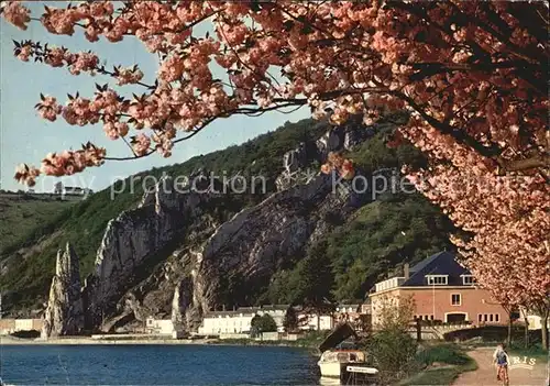 Dinant Wallonie Le rocher Bayard Kat. Dinant