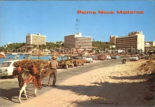 Palma Nova Mallorca Uferpromenade Hotelanlagen
