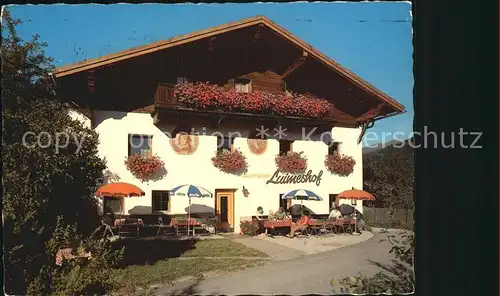 Telfes Stubai Luimeshof Kat. Telfes im Stubai