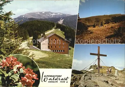 Koralpe Alpengasthof Waldrast Panorama Gipfelkreuz Alpenflora Kat. Oesterreich