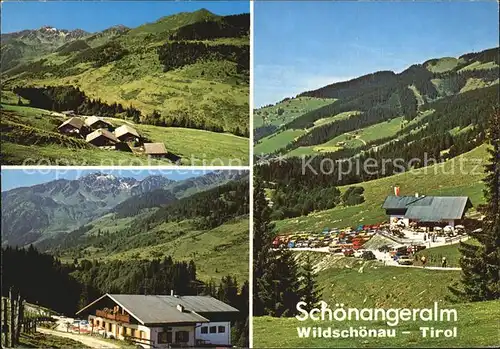 Wildschoenau Tirol Panorama Schoenangeralm