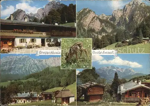 Berchtesgaden Berggasthaus Vorderbrand Teilansichten Kat. Berchtesgaden