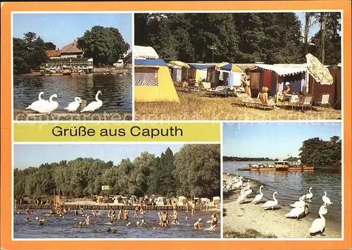 Caputh Gaststaette Faehrhaus Campingplatz Strandbad Kat. Schwielowsee