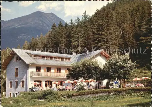 Boeckstein Alpenhaus und Cafe oesterreichische Evianquelle Kat. Bad Gastein