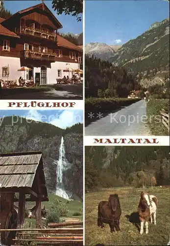 Millstatt Kaernten Alpenhotel Pflueglhof Maltatal Wasserfall Wasserrad Ponys Kat. Millstatt Millstaetter See