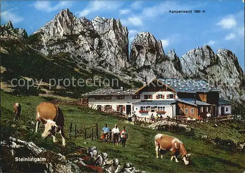 Aschau Chiemgau Steinlingalm mit Kampenwand Bayerische Alpen Kuehe Kat. Aschau i.Chiemgau
