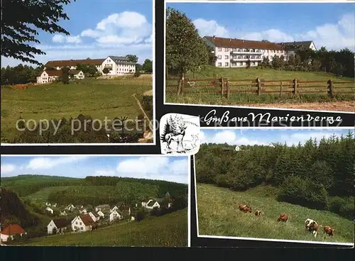Elkhausen Erholungsheim Haus Marienberge Ortsansicht Viehweide Kuehe Kat. Wissen
