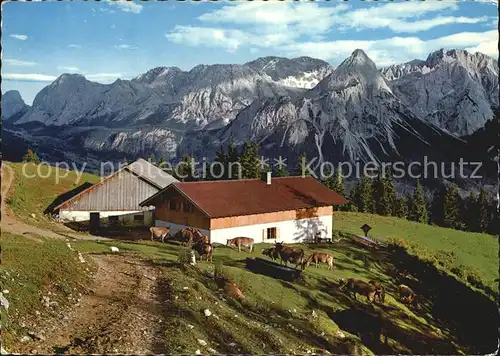 Lermoos Tirol Duftalm Kuehe Almvieh Mieminger Gebirge Kat. Lermoos