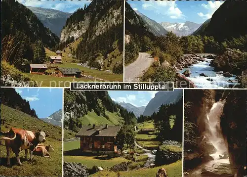 Stillupptal Lacknerbrunn Stilluppklamm Hoher Fall Wollbachspitze  Kat. Zillertal