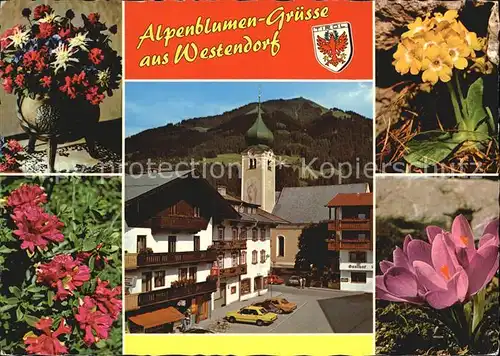 Westendorf Tirol Azaleen Schluesselblume Krokuse Ortsansicht Kat. Westendorf