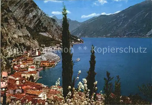 Limone del Garda Panorama