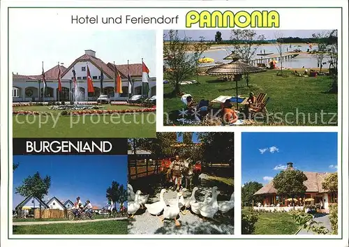 Pamhagen Hotel Feriendorf Pannonia Kat. Pamhagen