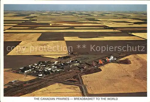 Manitoba Canadian Prairies Breadbasket to the World Kat. Kanada
