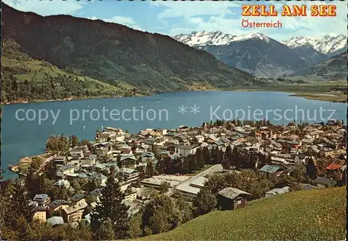 Zell See Blick Hohen Tauern  Kat. Zell am See