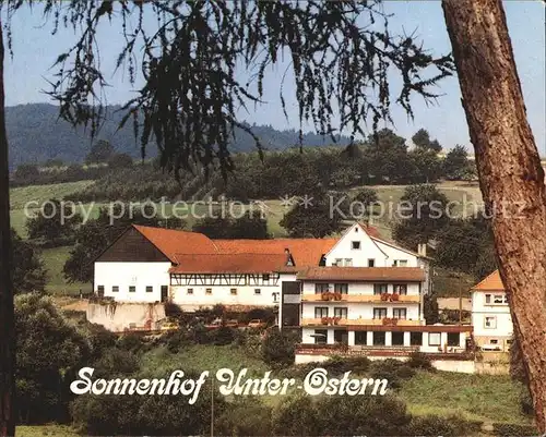 Unter Ostern Pension Gaststaette Sonnenhof Kat. Reichelsheim (Odenwald)