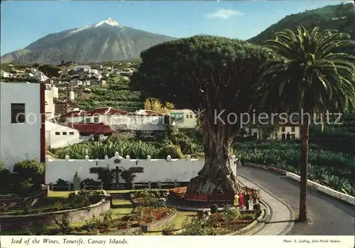 Tenerife Ortspartie Kat. Islas Canarias Spanien