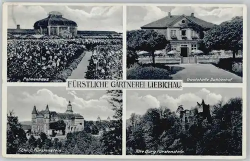 Liebichau Liebichau Palmenhaus Gaststaette Dahlienhof Schloss Fuerstenstein x / Tschechische Republik /Tschechische Republik