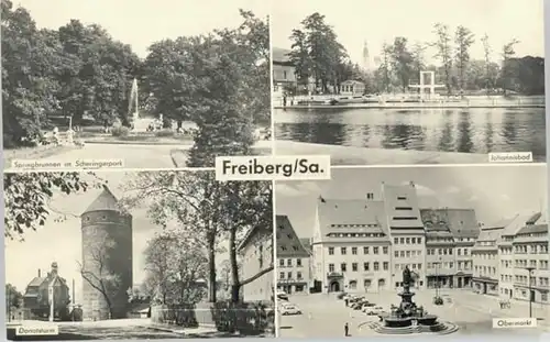 Freiberg Freiberg Johannisbad Scheringerpark Donatsturm * / Freiberg /Mittelsachsen LKR