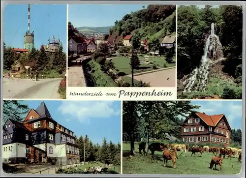 Pappenheim Pappenheim  x / Pappenheim /Weissenburg-Gunzenhausen LKR