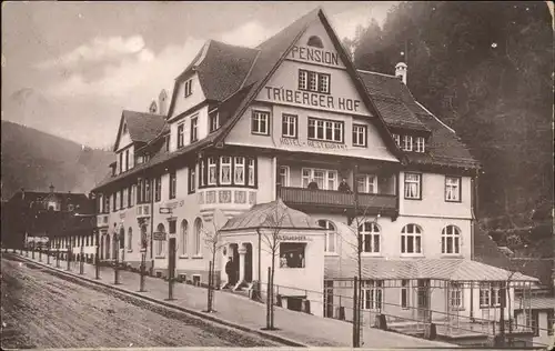 Triberg Triberg Triberger Hof * /  /