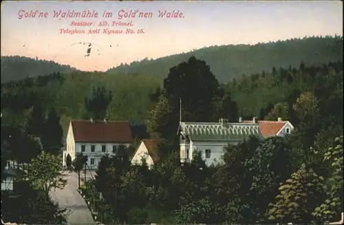 Kynau Gold'ne Waldmuehle Gold'nen Walde x