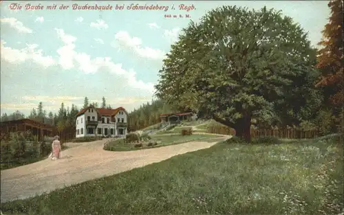 Buchenbaude Schmiedeberg *