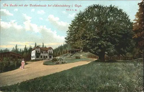 Buchenbaude Schmiedeberg *